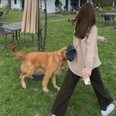 模犯生